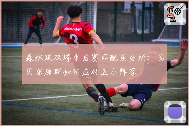 森林狼双塔季后赛匹配度分析:戈贝尔唐斯如何应对五小阵容